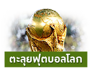 ตะลุยฟุตบอลโลก